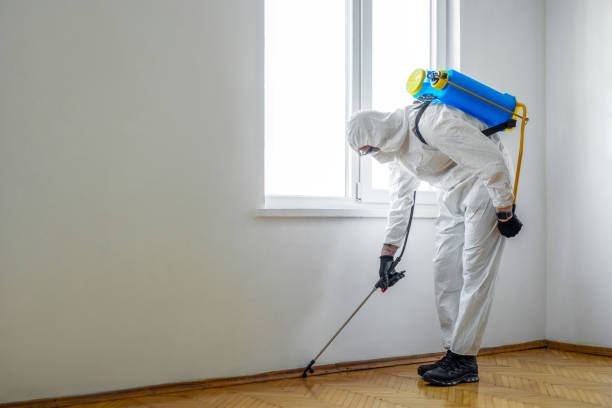 Best Best Pest Control Companies  in Wynantskill, NY