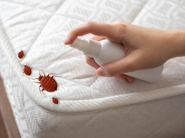 Best Residential Pest Control  in Wynantskill, NY