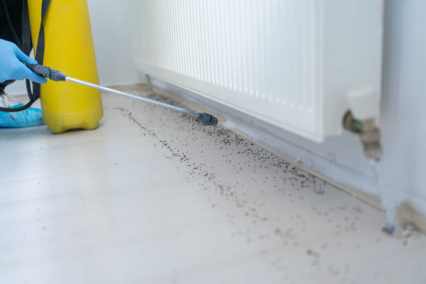 Best Commercial Pest Control Services  in Wynantskill, NY