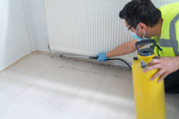 Best Pest Control Cost  in Wynantskill, NY