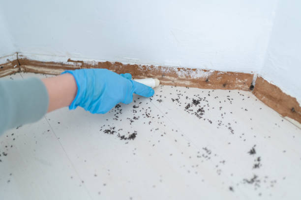 Best Best Pest Control Companies  in Wynantskill, NY